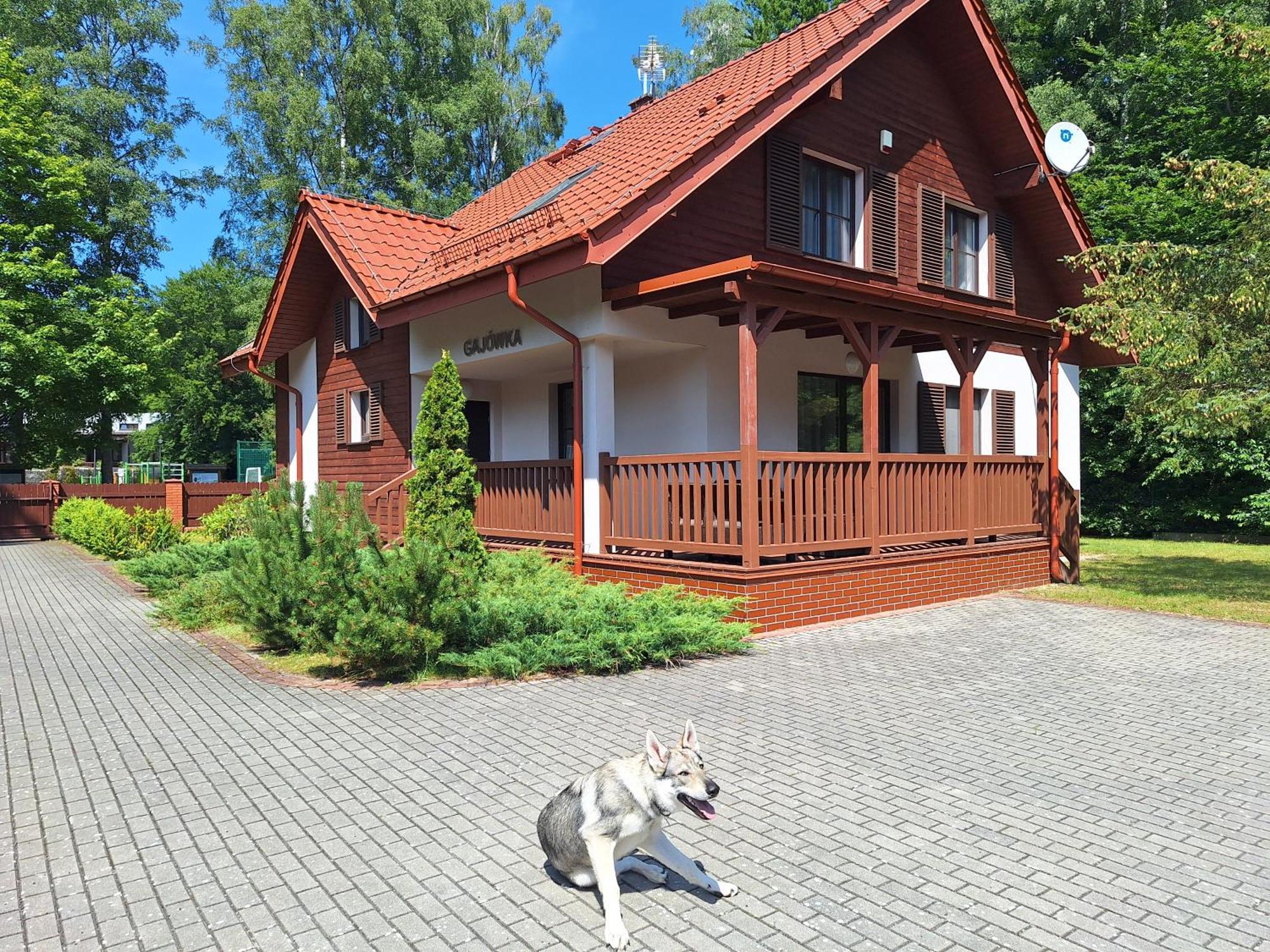 Osrodek Szkoleniowo-Wypoczynkowy "Lesnik" Hotel Ustka Exterior photo